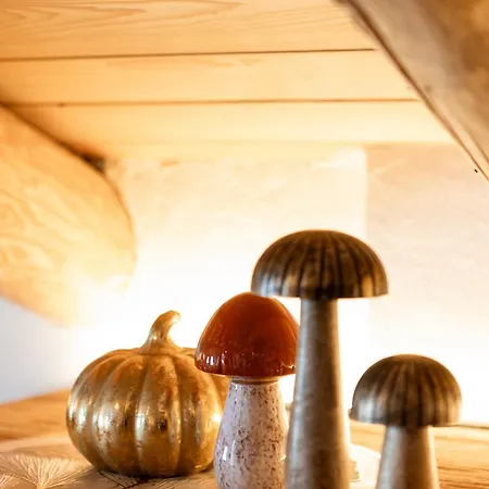 Farm stay Alpine Mood Falcade